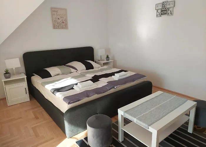 Apartament Ludika Vendeghaz *